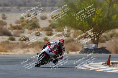 media/Apr-10-2022-SoCal Trackdays (Sun) [[f104b12566]]/Turn 5 Tree of Life (1040am)/